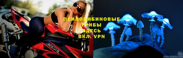 гашик Липки