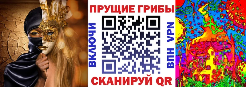 Псилоцибиновые грибы Psilocybe Александров